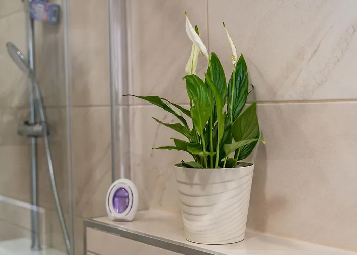 Apartamento Kralj *